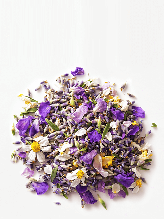 Mary Louise Cosmetics