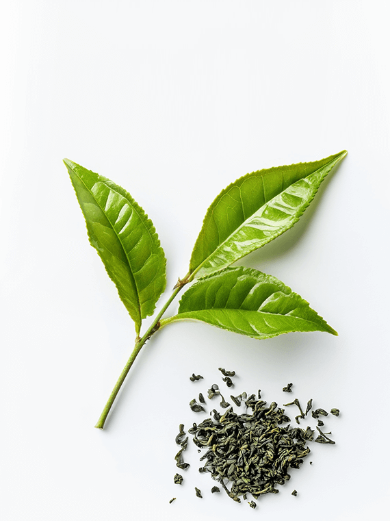 Mary Louise Cosmetics