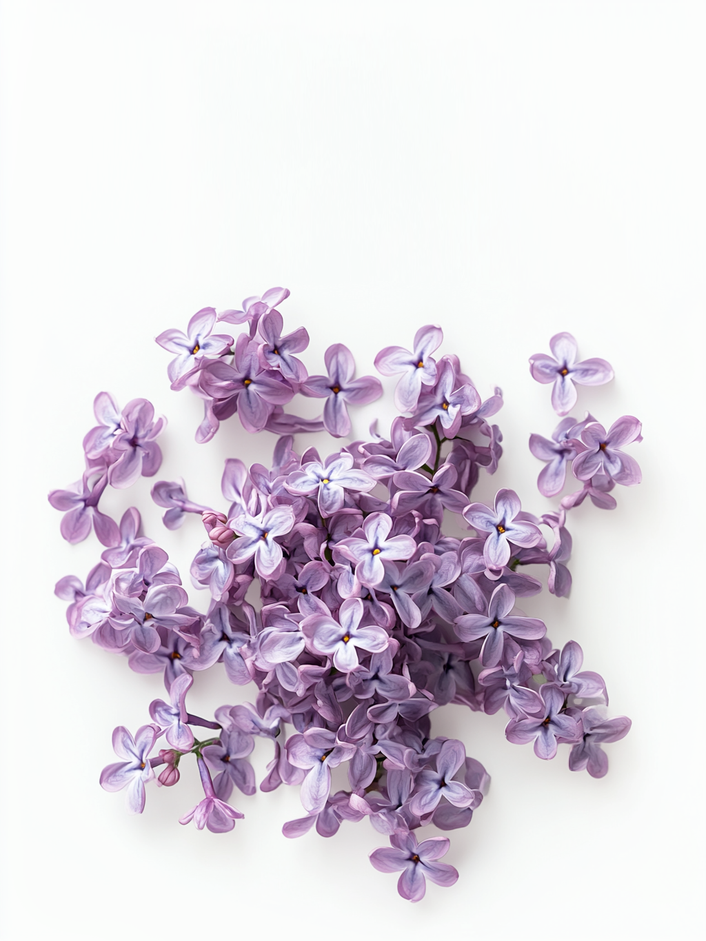 Mary Louise Cosmetics